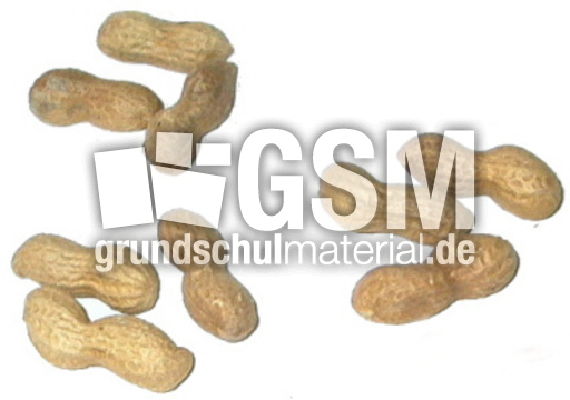 Erdnüsse-3x3.jpg